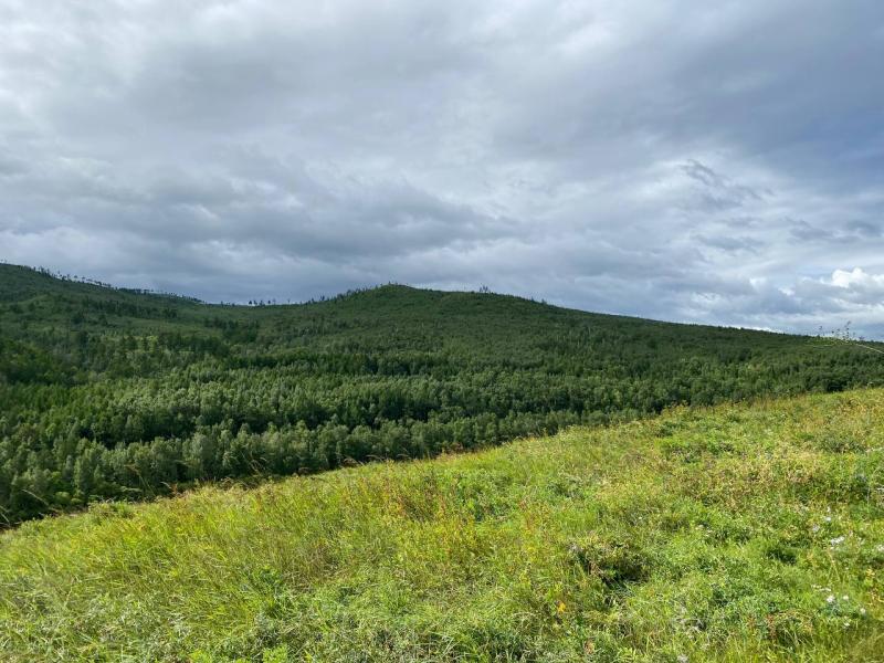 Фото Светланы Шашловой