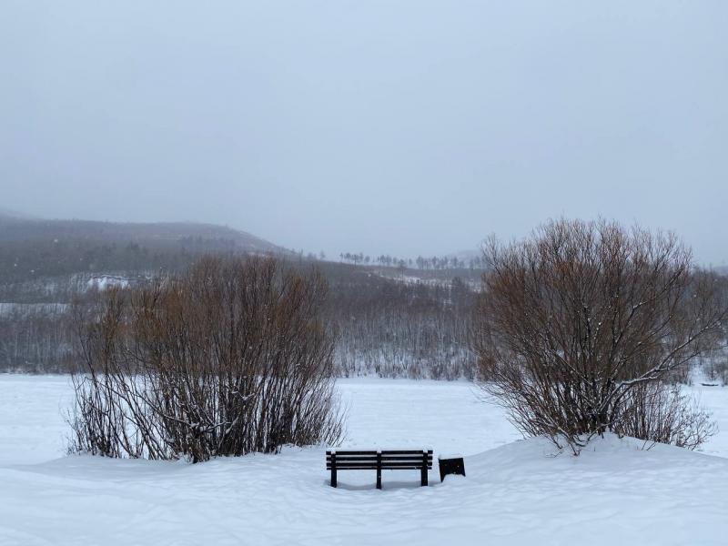 Фото: Светлана Шашлова.