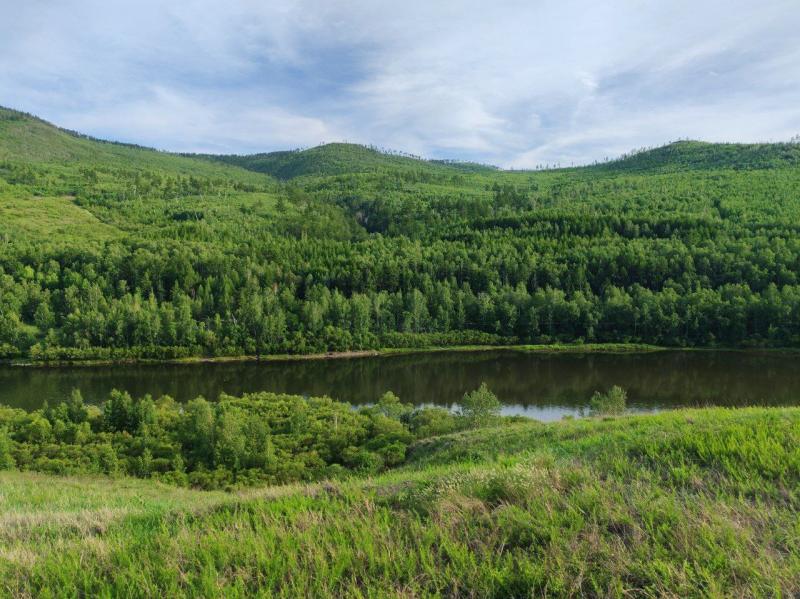 Фото Юлии Скорняковой