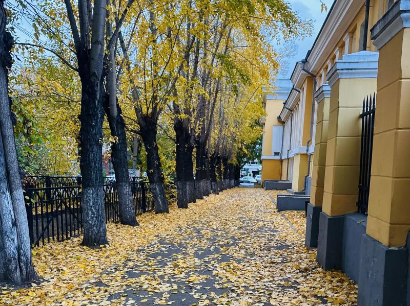 Фото Дарьи Левошко 